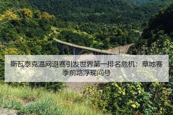si-wa-tai-ke-wen-wang-tui-sai-yin-fa-shi-jie-di-yi-pai-ming-wei-ji-cao-di-sai-ji-qian-lu-fu-xian-wen-hao-2-919.jpg
